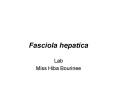 Fasciola hepatica
