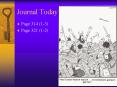 Journal Today