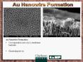 Au Nanowire Formation