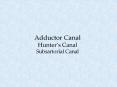 Adductor Canal Hunters Canal Subsartorial Canal