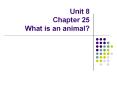 Unit 8 Chapter 25 What is an animal?