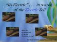 Never feel An electric eel' It's no fun To receive its stun