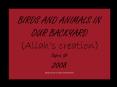 BIRDS AND ANIMALS IN OUR BACKYARD Allahs creation Buford, GA 2008 Made by Ammi,Maria and Maleeha