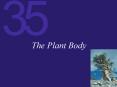 The Plant Body