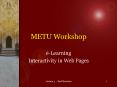 METU Workshop