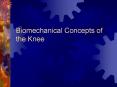 Biomechanical Concepts of the Knee