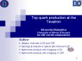 Top quark production at the Tevatron Elizaveta Shabalina University of Illinois Chicago for CDF and