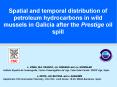 Spatial and temporal distribution of petroleum hydrocarbons in wild mussels in Galicia after the Pre