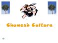 Chumash Culture