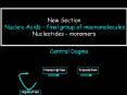 New Section Nucleic Acids final group of macromolecules Nucleotides monomers