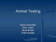 Animal Testing