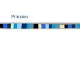 Primates