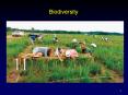 Biodiversity
