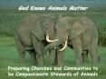 God Knows Animals Matter