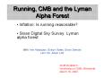 Running, CMB and the Lyman Alpha Forest