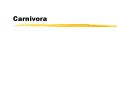 Carnivora