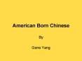 American Born Chinese