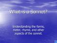 What is a Sonnet