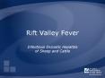 Rift Valley Fever