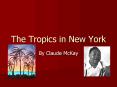 The Tropics in New York