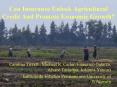Can Insurance Unlock Agricultural Credit And Promote Economic Growth