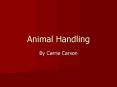 Animal Handling