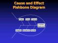 Cause and Effect Fishbone Diagram
