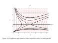 Figure 17'1 Equilibrium and dynamics of the competition with nocrowding model'