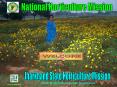 National Horticulture Mission