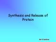 Synthesis and Release of Protein