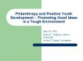 Philanthropy and Positive Youth Development : Promoting Good Ideas in a Tough Environment
