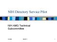 NIH Directory Service Pilot