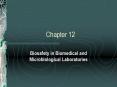 Biosafety in Biomedical and Microbiological Laboratories