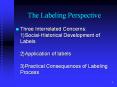 The Labeling Perspective