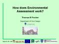 How does Environmental Assessment work Thomas B Fischer Department of Civic Design