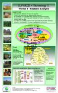 Recycling of Agricultural Waste Materials as Novel Slow Release Fertilier
