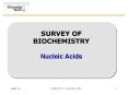 SURVEY OF BIOCHEMISTRY Nucleic Acids