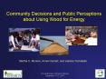 Community Decisions and Public Perceptions about Using Wood for Energy 
