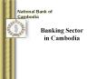 Banking Sector in Cambodia