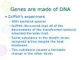 Genes are made of DNA