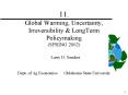 11' Global Warming, Uncertainty, Irreversibility