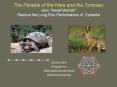 The Parable of the Hare and the Tortoise: How "Small Worlds" Reduce the Long Run Performance of Syst
