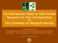 The International Treaty on Plant Genetic Resources for Food and Agriculture and The Convention on B