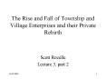 The Rise and Fall of Township and Village Enterprises and their Private Rebirth