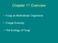 Chapter 17 Overview