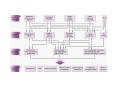 Abundance classes of typical mRNA populations