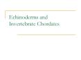 Echinoderms and Invertebrate Chordates