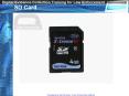 SD Card