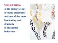 MIGRATION: A life history event of many organisms, and one of the most fascinating and dramatic of a