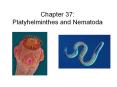 Chapter 37: Platyhelminthes and Nematoda